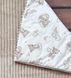 Теплый конверт-плед со съемным синтепоном и бантом BabyStarTex, капучино плюш/мишки на облачке с радугой, Мальчик, 90х80