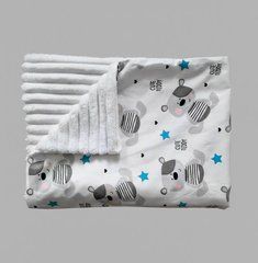 Плед дитячий з плюшу Babystartex, білий плюш/ведмедика Cute Teddy, Хлопчик, 100*80, без утеплювача