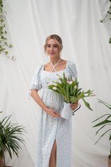 Святкова сукня для вагітних і годуючих на літо Briella Юла мама, блакитні квіти на білому, M
