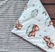 Теплий конверт-плед зі знімним синтепоном та бантом BabyStarTex, сірий плюш/ведмедики сплять на хмаринці, Хлопчик, 90х80
