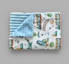 Плед детский из плюша Babystartex, голубой/самолеты и поезда зеленые, Мальчик, 100*80, без утеплителя