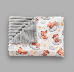 Плед детский из плюша Babystartex, серый плюш/звери спят на облачке, Унисекс, 100*80, без утеплителя