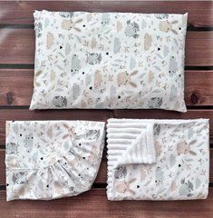 Комплект в детскую кровать (подушка+простынь+плюшевый плед) Babystartex, белый плюш/сова и зайчик, Унисекс