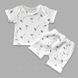Комплект муслиновый футболка и шорты Babystartex, муслин, одуванчики, Мальчик, 56-62