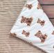 Теплый конверт-плед со съемным синтепоном и бантом BabyStarTex, капучино плюш/мишки коричневые, Мальчик, 90х80